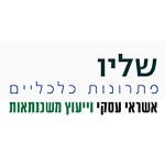 שליו פתרונות כלכליים